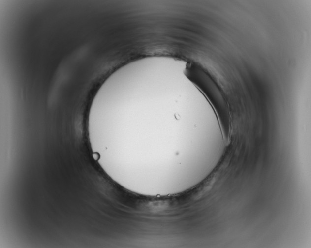 X0000091660353200709201148