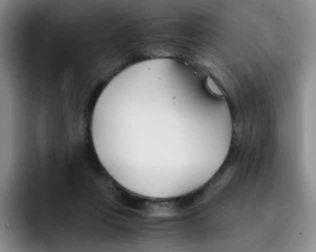 X0000091660359200709201148