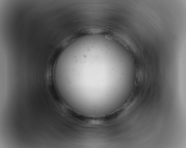 X0000091660360200709201148