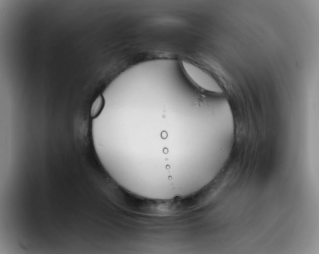 X0000091660365200709201149
