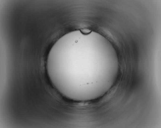 X0000091660366200709201149