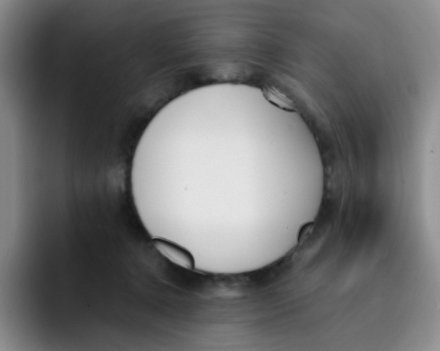 X0000091660368200709201149