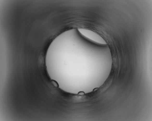 X0000091660375200709201149