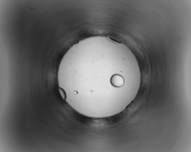 X0000091660376200709201149