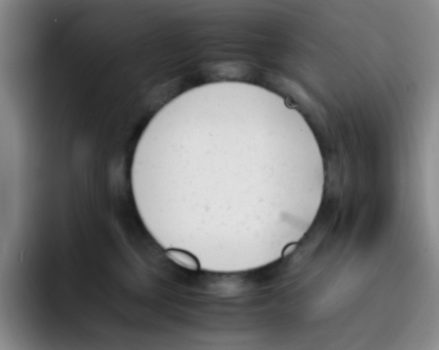 X0000091660377200709201149