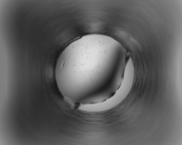 X0000091660380200709201149