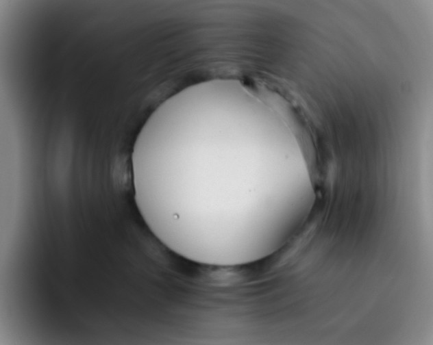 X0000091660383200709201149