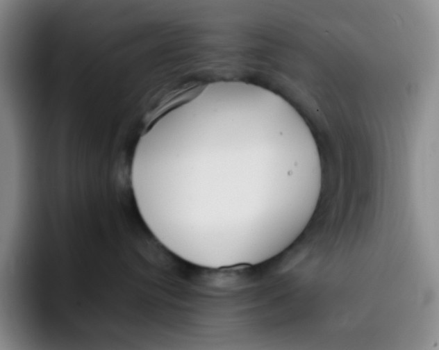 X0000091660384200709201149