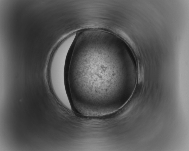 X0000091660387200709201148