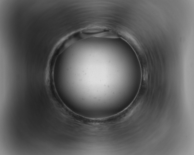 X0000091660388200709201148