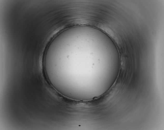 X0000091660390200709201148