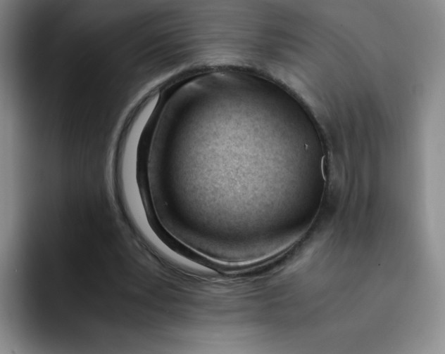 X0000091660391200709201148
