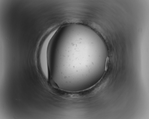 X0000091660395200709201148