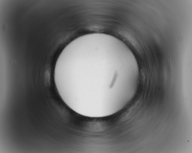 X0000091660404200709201148
