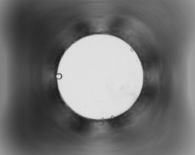 X0000091660415200709201148