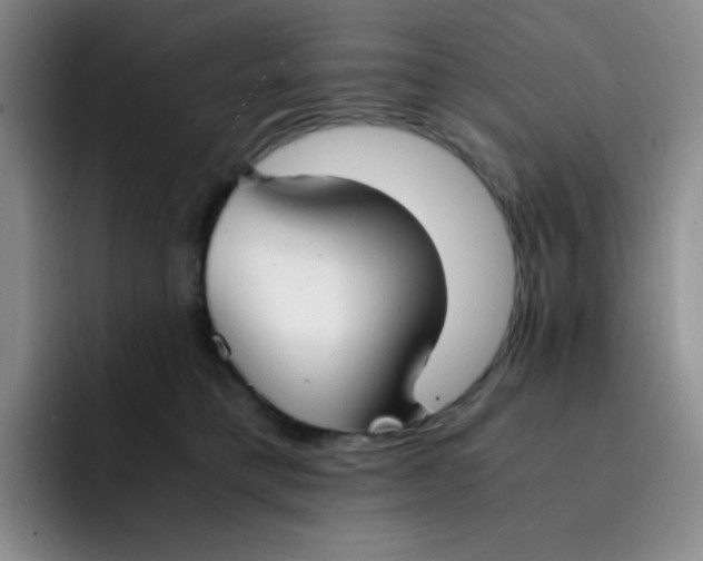 X0000091660421200709201148