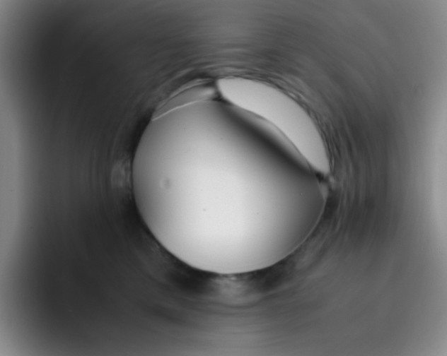 X0000091660425200709201148