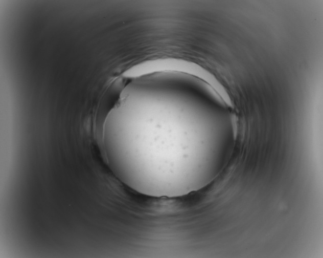 X0000091660428200709201147