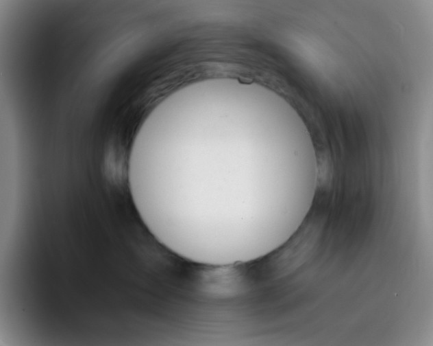 X0000091660431200709201147