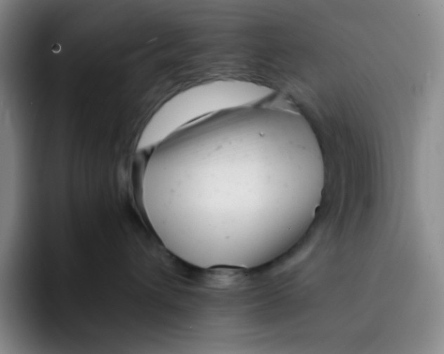 X0000091660432200709201147
