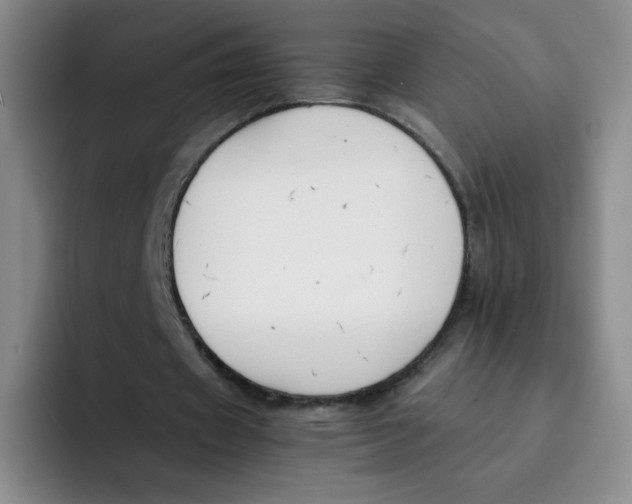 X0000091660433200709201147