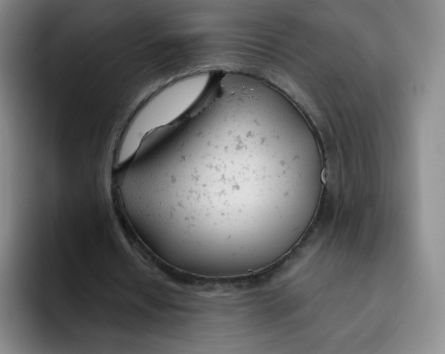 X0000091660434200709201147