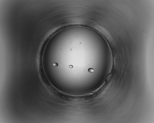 X0000091660436200709201147