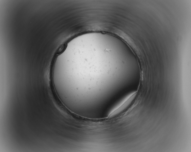 X0000091660438200709201147