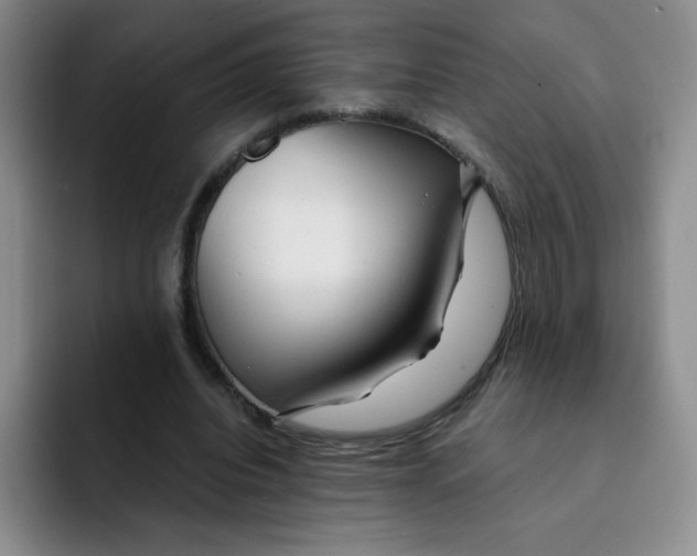 X0000091660440200709201147