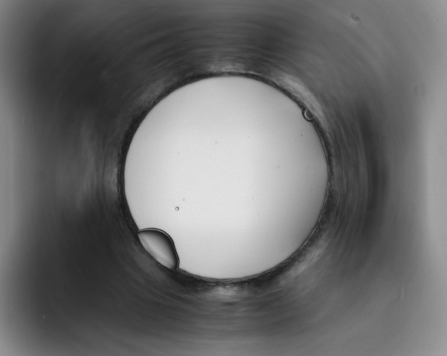 X0000091660441200709201147