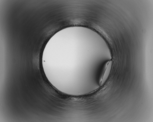 X0000091660442200709201147