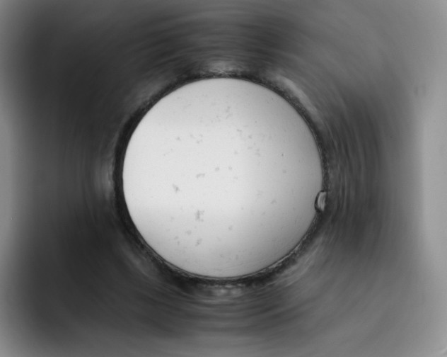 X0000091660443200709201147