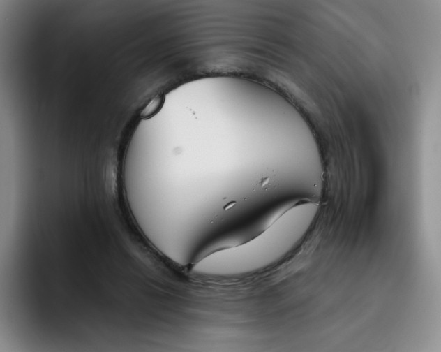 X0000091660446200709201147