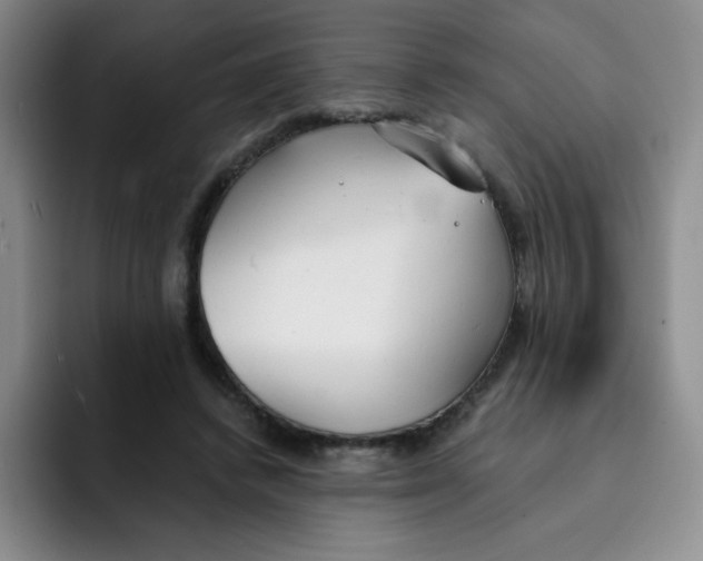 X0000091660448200709201147