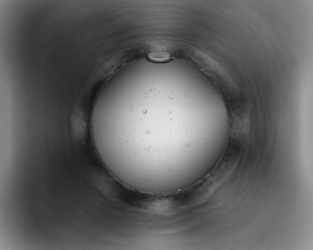 X0000091660456200709201147