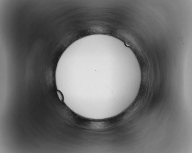 X0000091660457200709201147