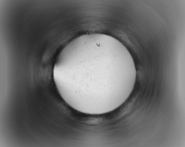 X0000091660458200709201147