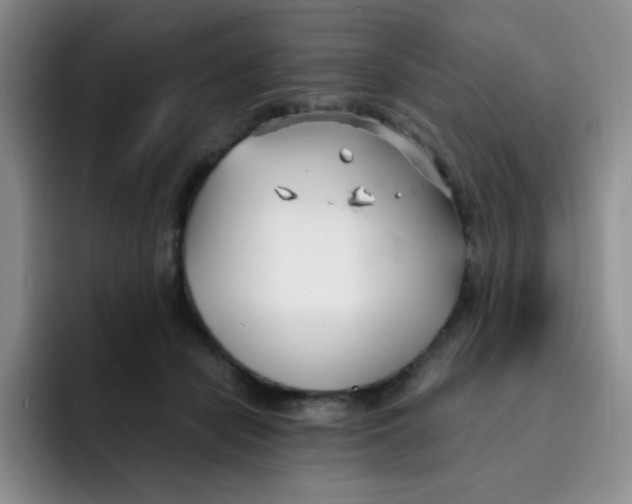 X0000091660462200709201147