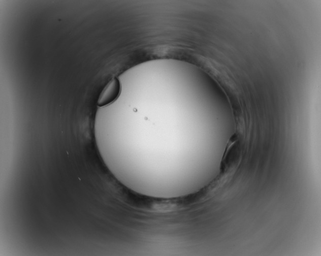 X0000091660470200709201147
