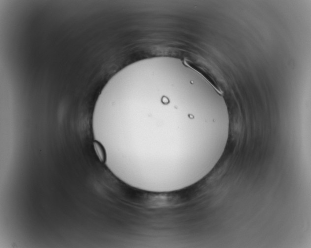 X0000091660473200709201147
