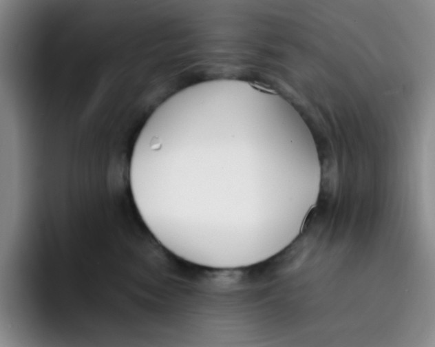 X0000091660474200709201147
