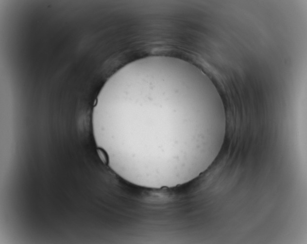 X0000091660475200709201147