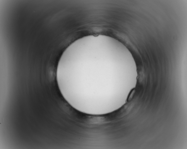 X0000091660476200709201147