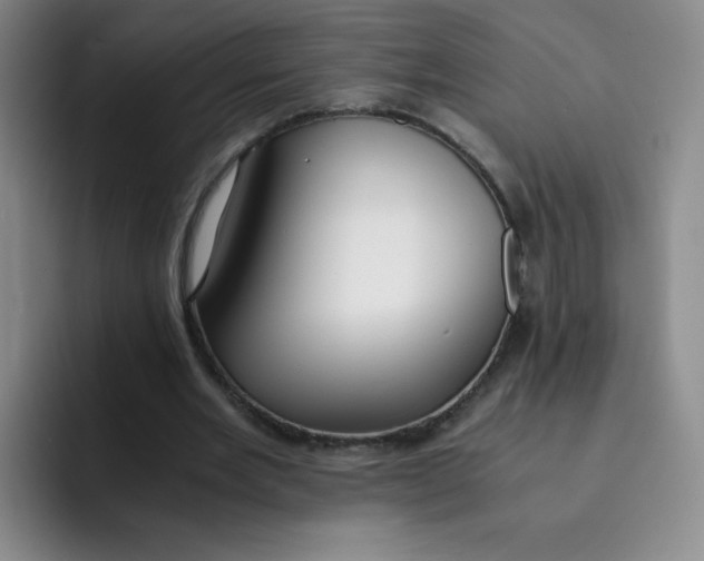 X0000091660485200709201147