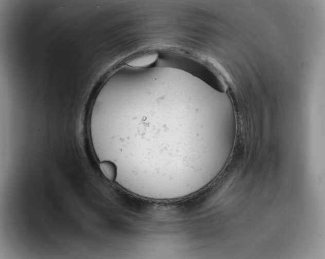 X0000091660487200709201147