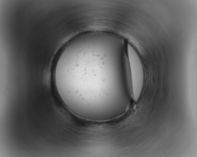 X0000091660488200709201147