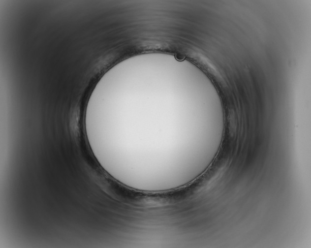 X0000091660490200709201147