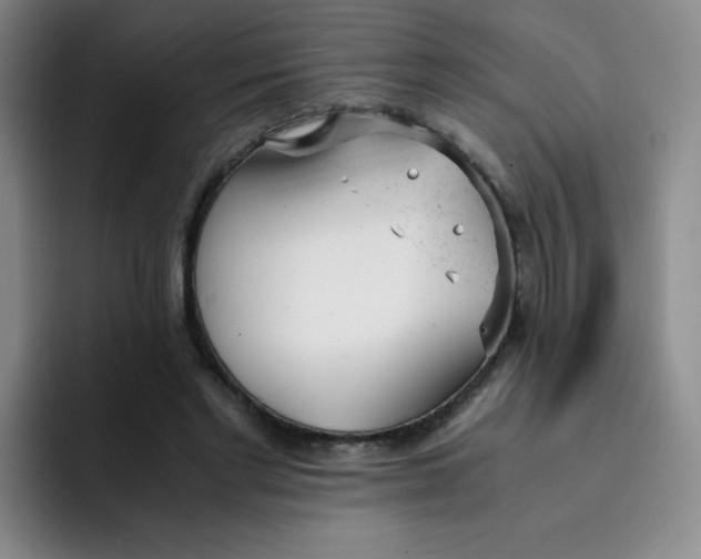 X0000091660493200709201147