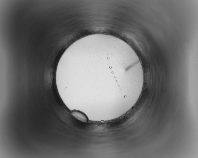 X0000091660495200709201147