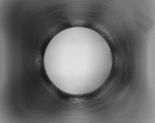 X0000091660498200709201147